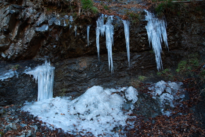 e0165983_12131010.jpg