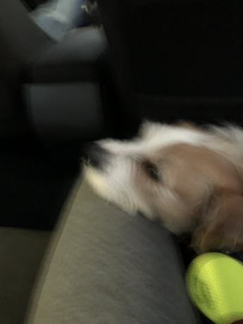 c0253487_03362669.jpg