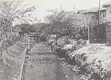 d0183387_10565903.png