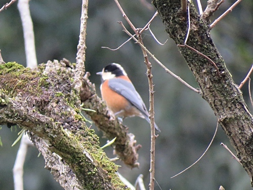 f0357487_21531036.jpg