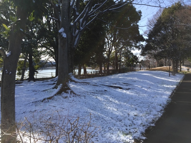 e0152990_21201843.jpeg