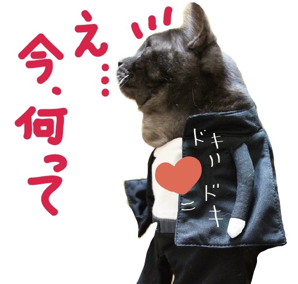 妄想寸劇_a0333195_21562983.jpg