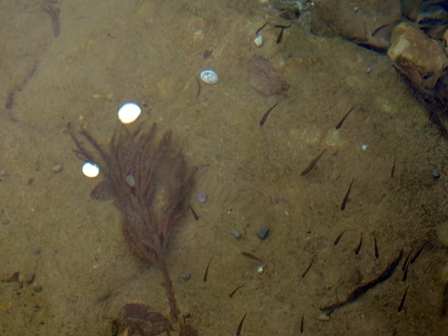 f0373905_13361867.jpg