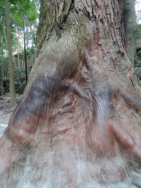 f0373905_13361984.jpg