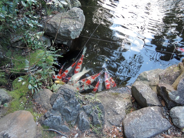 f0373905_13380621.jpg