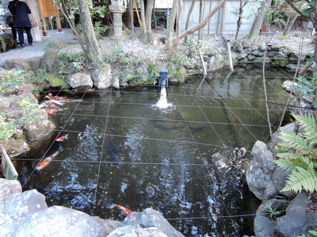 f0373905_13381471.jpg