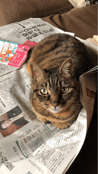 b0268815_21340885.gif