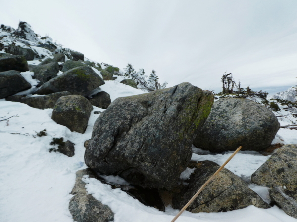 西穂高丸山 (2,452M)   雪山歩行技術講習会　　山頂 編_d0170615_22331886.jpg