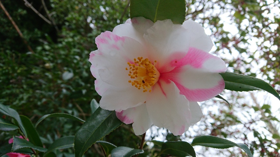 b0098228_22283685.jpg