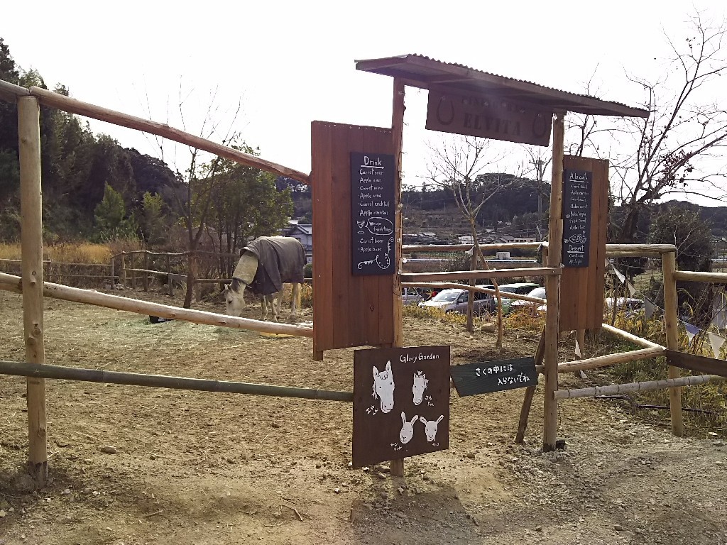 b0393328_11461344.jpg