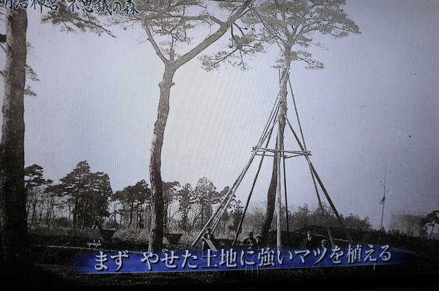 c0308431_13453178.jpg
