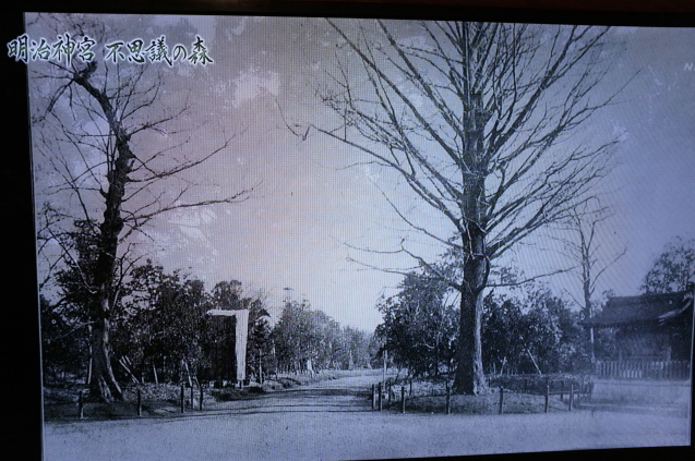 c0308431_13595550.jpg