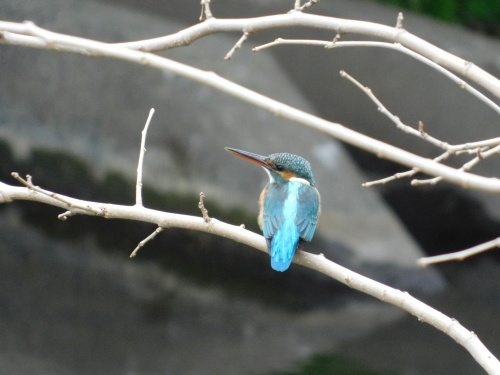 c0338136_14291295.jpg