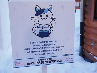 さっぽろ雪まつり_f0295238_10255305.jpg