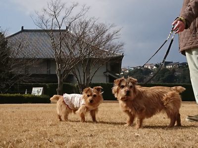 c0211540_12513729.jpg