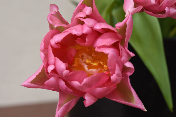 c0346840_20100449.jpg