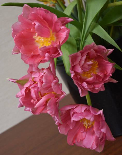 c0346840_20114400.jpg