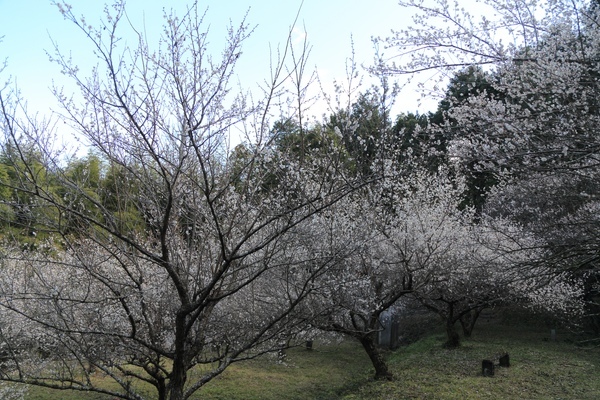 c0332548_16454789.jpg