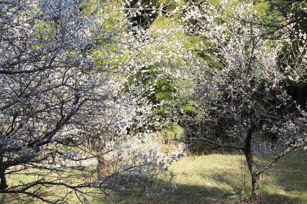 c0332548_17060704.jpg