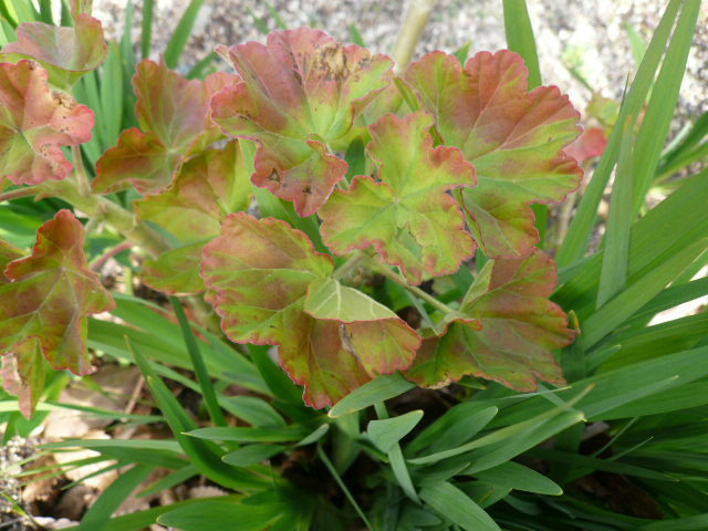 c0043055_10281280.jpg