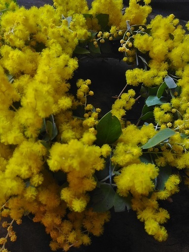 c0172261_08523830.jpg
