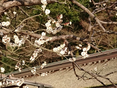 c0100865_09000099.jpg