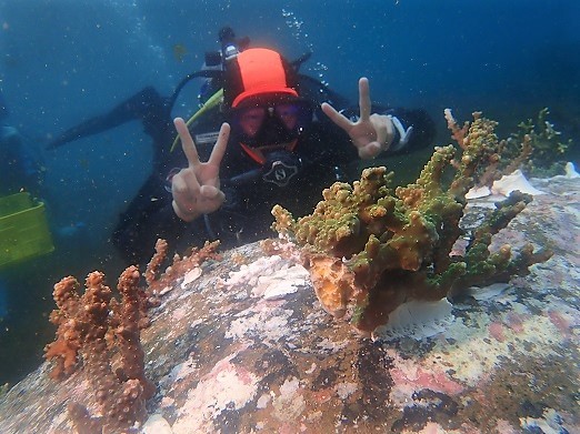 e0132965_17323990.jpg