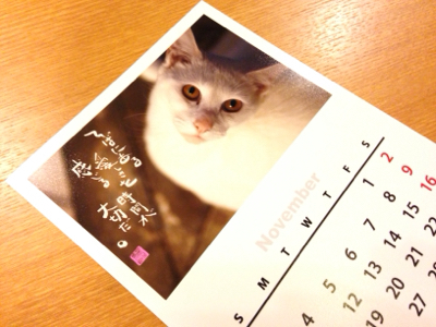 癒しの贈り物***_e0290872_22074038.jpg