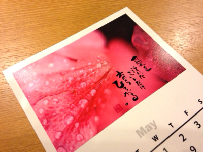 癒しの贈り物***_e0290872_22074132.jpg