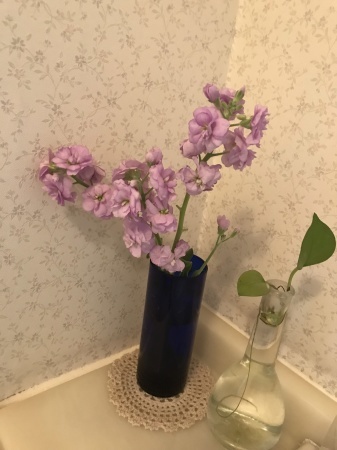 e0169073_15411328.jpeg