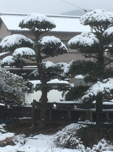 雪の朝_b0335376_10324695.jpeg