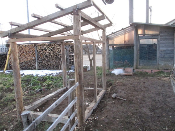 ニワトリ小屋 2 橅工房だより Buna工房だより ニワトリ小屋 2 橅工房だより Buna工房だより