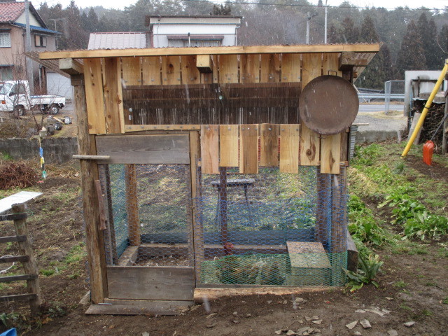 ニワトリ小屋 2 橅工房だより Buna工房だより ニワトリ小屋 2 橅工房だより Buna工房だより