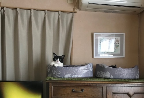 a0216583_23343729.jpeg