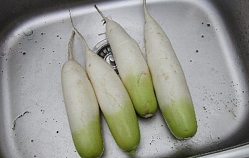 f0003283_20305363.jpg