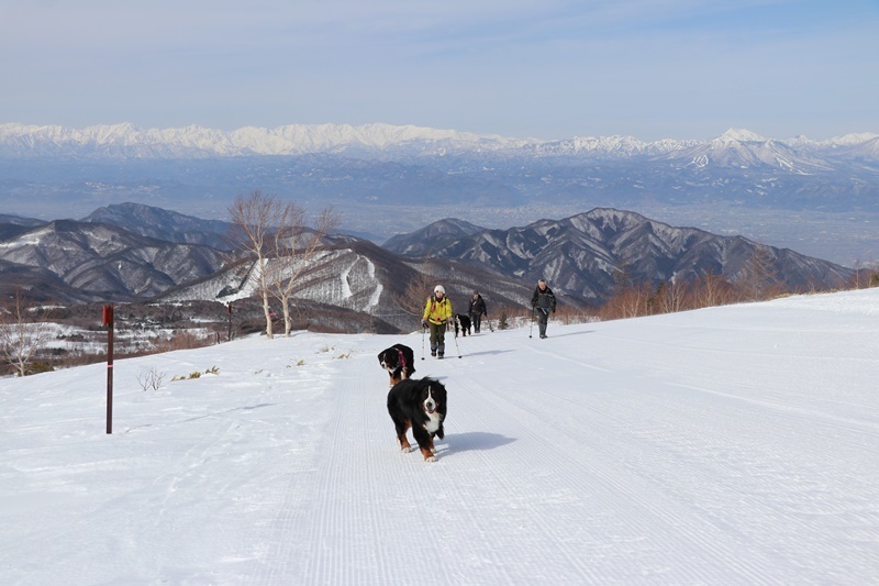 雪山登山　頂上まで編_b0158390_13103319.jpg