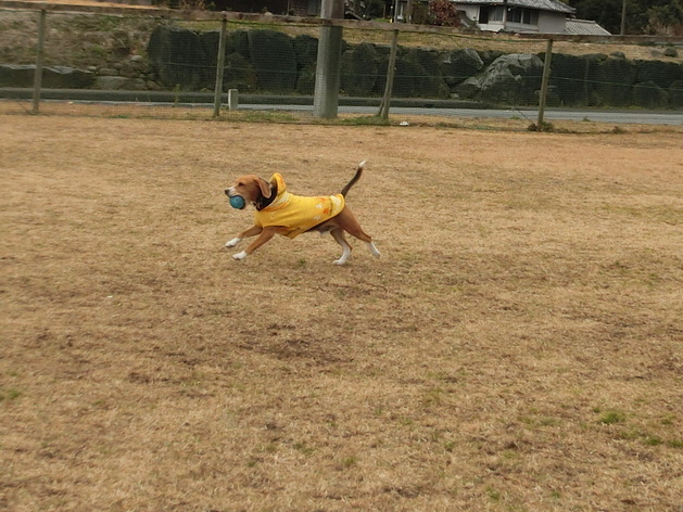 a0319693_843018.jpg