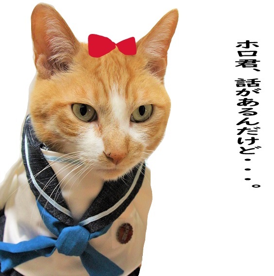妄想寸劇_a0333195_18145039.jpg