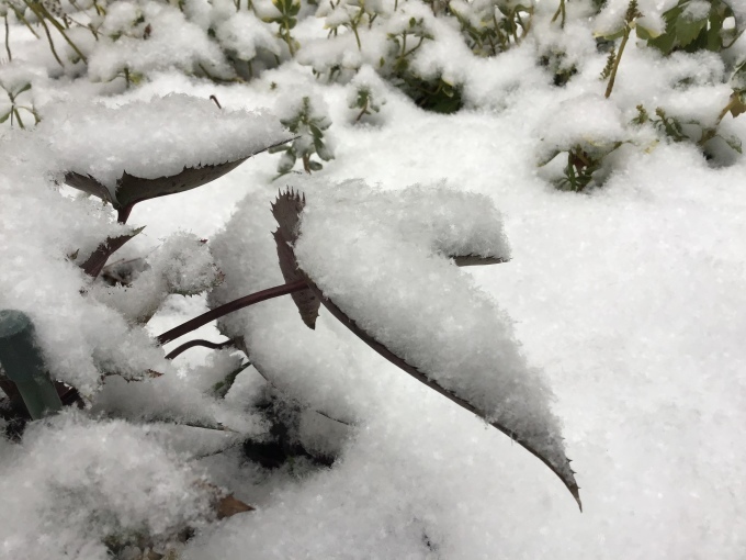 b0213795_09264247.jpeg