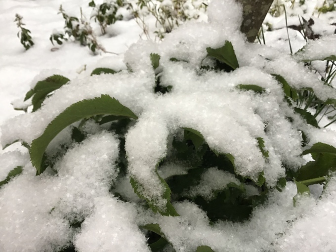 b0213795_09265797.jpeg