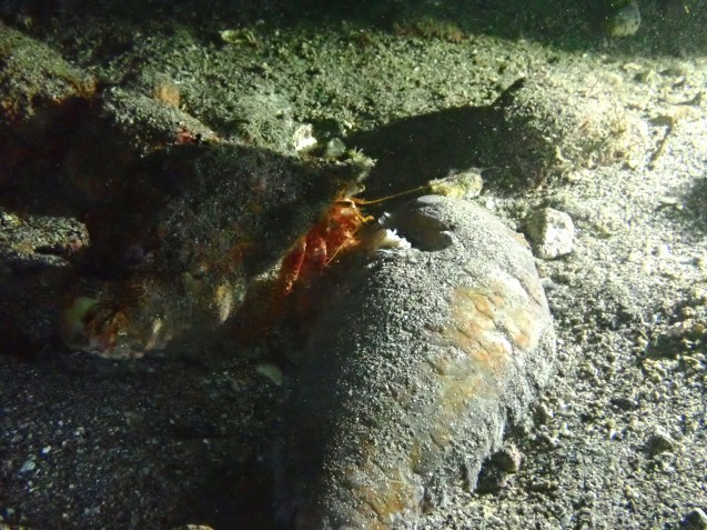 e0115199_14410894.jpg