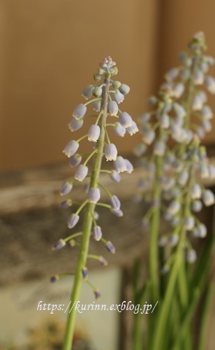 a0123003_10104580.jpg