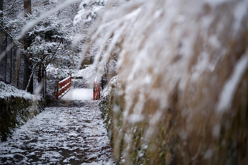 京の雪景色･開門前の大原散策　其の三_f0032011_22095720.jpg