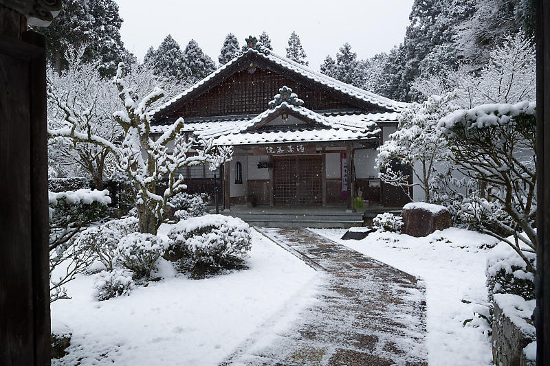 京の雪景色･開門前の大原散策　其の三_f0032011_22095786.jpg