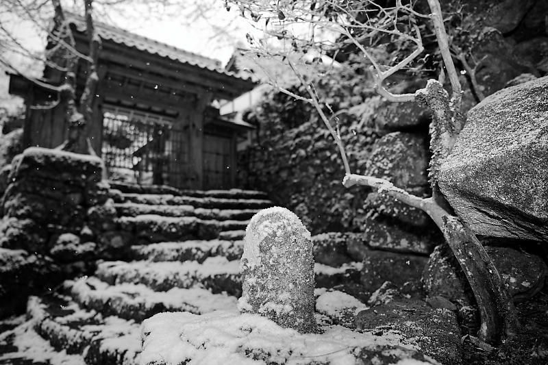 京の雪景色･開門前の大原散策　其の三_f0032011_22095790.jpg