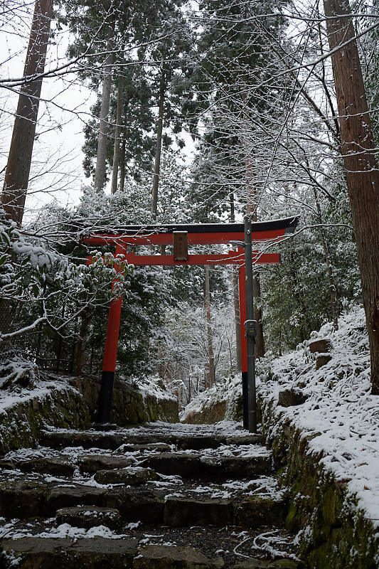 京の雪景色･開門前の大原散策　其の三_f0032011_22095793.jpg