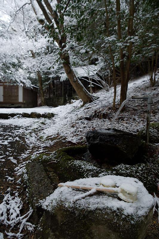 京の雪景色･開門前の大原散策　其の三_f0032011_22095857.jpg