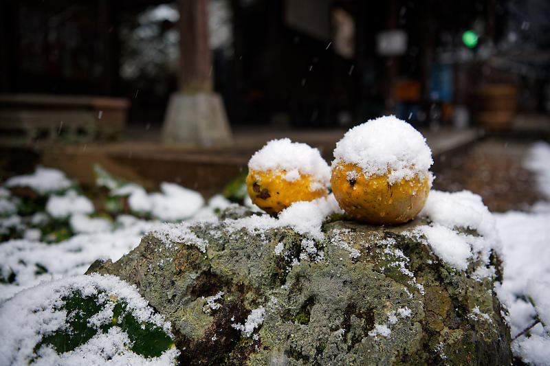 京の雪景色･開門前の大原散策　其の三_f0032011_22204625.jpg