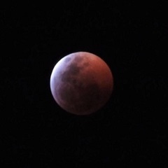 d0367842_14381870.jpg