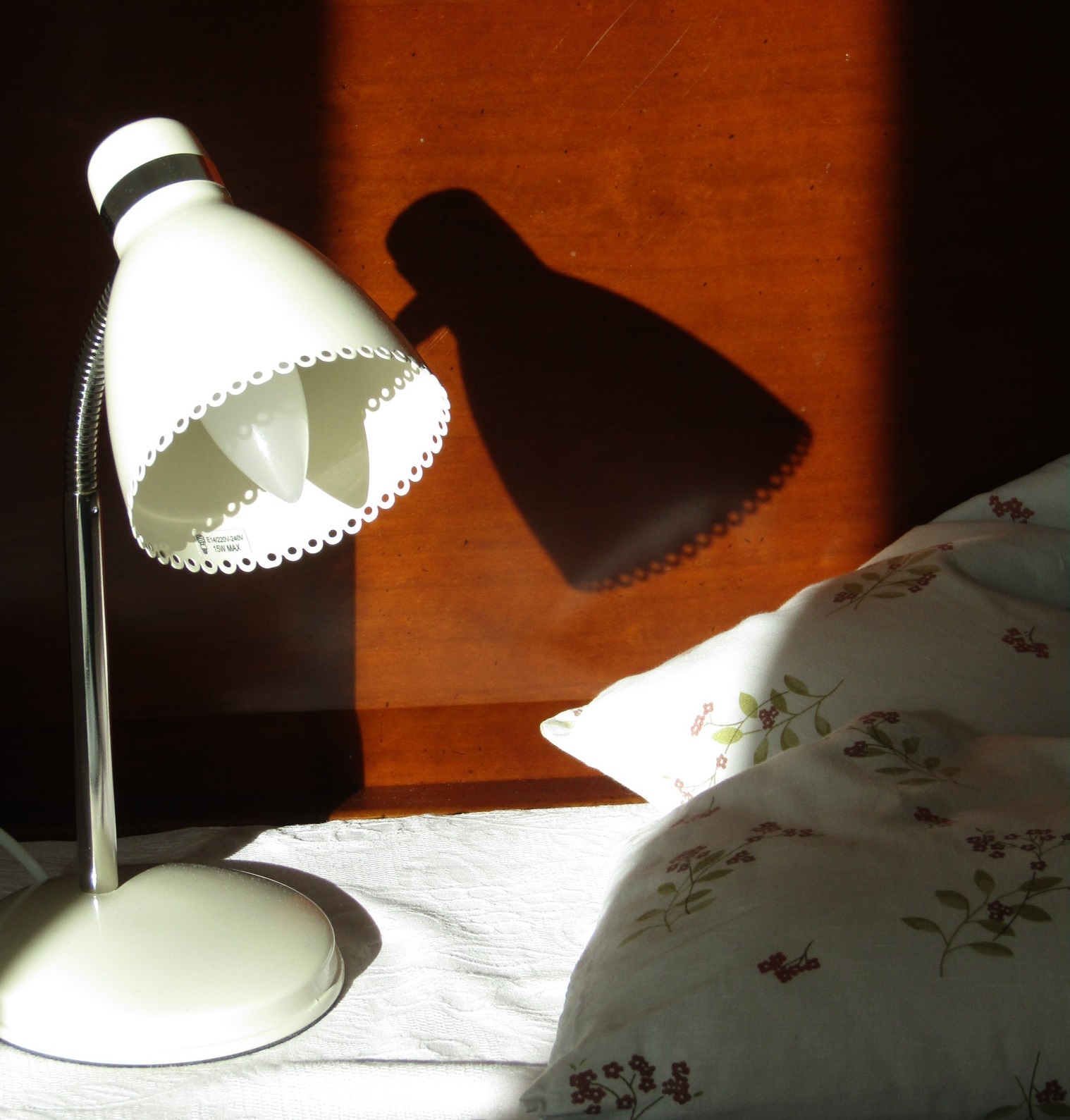 お初＾＾ 枕元の灯かり （ Nouvelle lampe de chevet )_b0287748_04385409.jpg